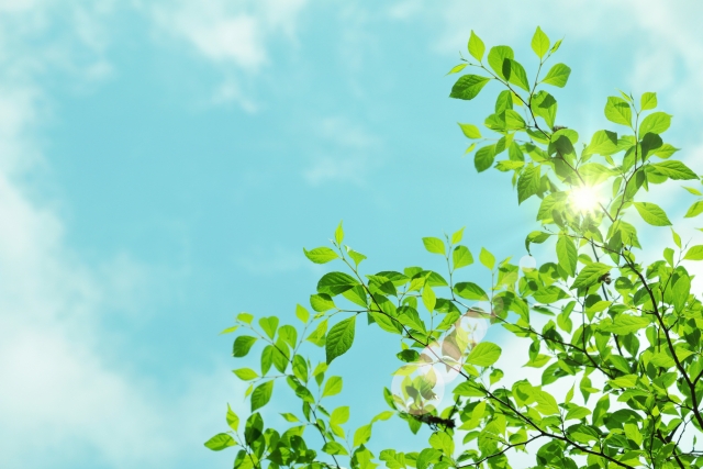 GWの休診日のご案内